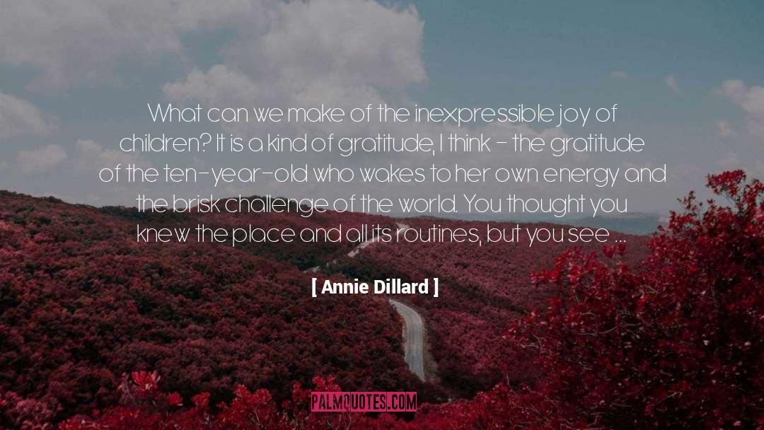 Annie Dillard Quotes: What can we make of