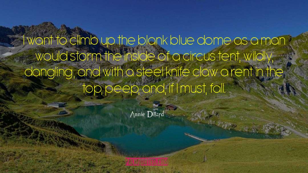 Annie Dillard Quotes: I want to climb up