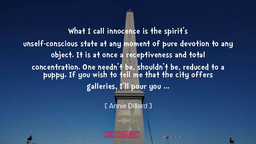 Annie Dillard Quotes: What I call innocence is