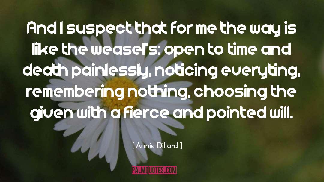 Annie Dillard Quotes: And I suspect that for