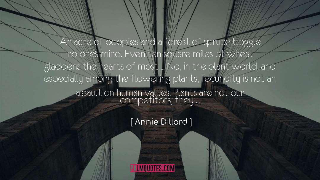 Annie Dillard Quotes: An acre of poppies and