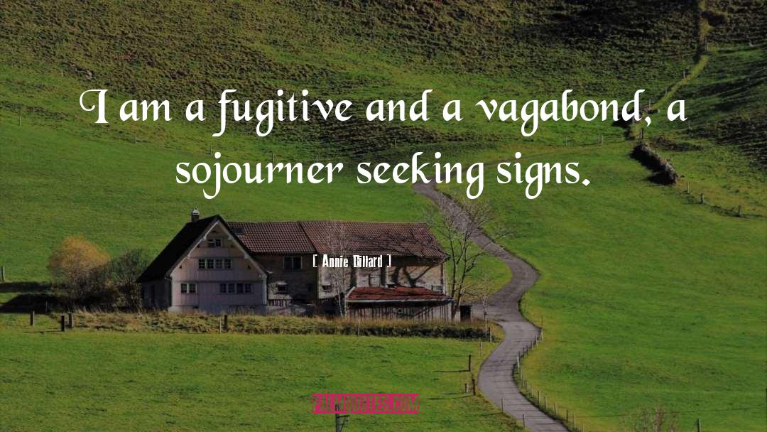 Annie Dillard Quotes: I am a fugitive and