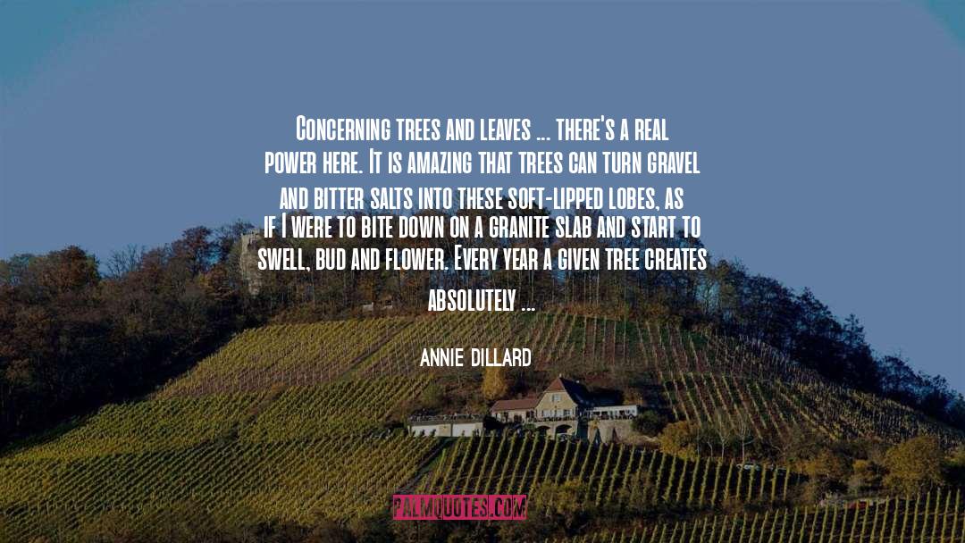 Annie Dillard Quotes: Concerning trees and leaves ...