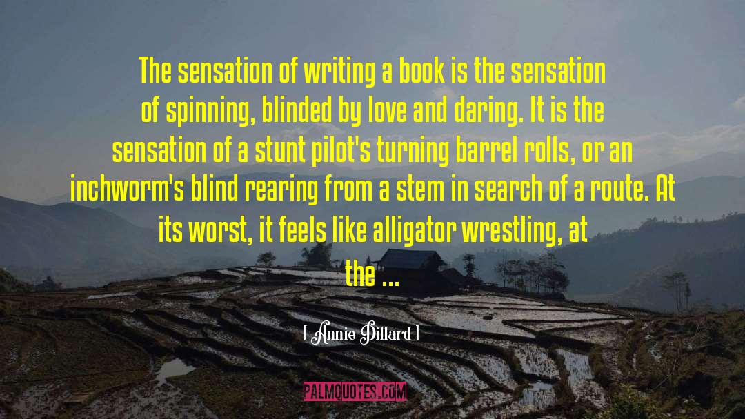 Annie Dillard Quotes: The sensation of writing a