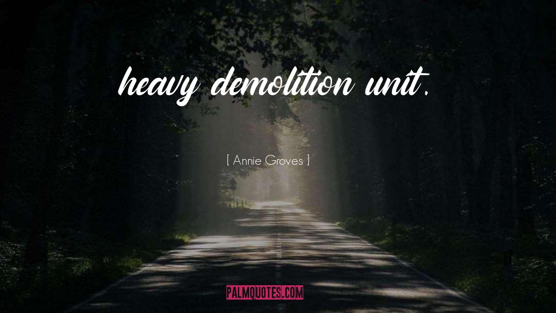 Annie Groves Quotes: heavy demolition unit.