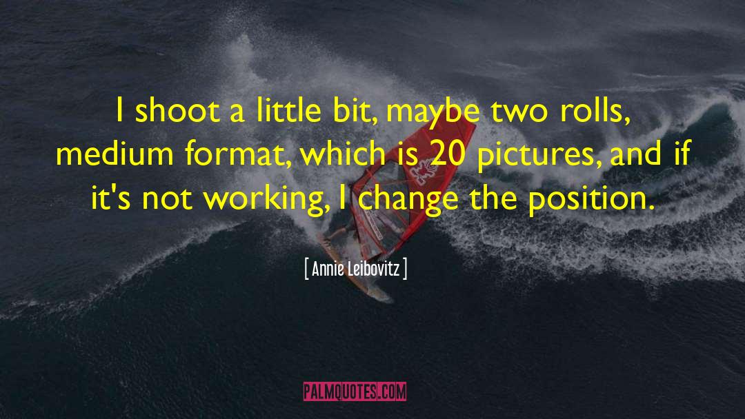 Annie Leibovitz Quotes: I shoot a little bit,
