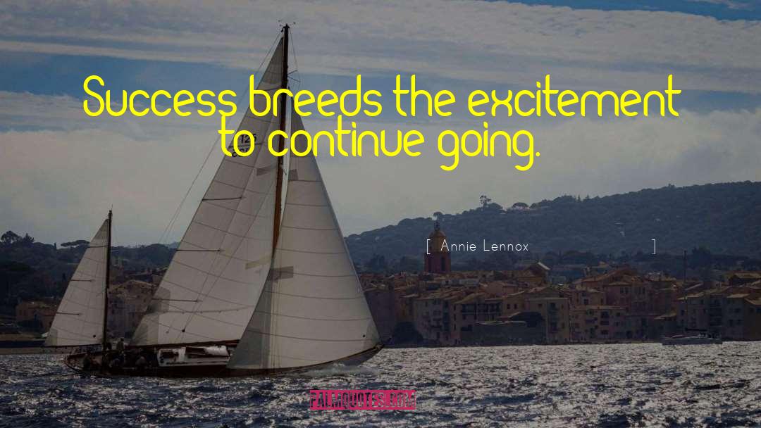 Annie Lennox Quotes: Success breeds the excitement to