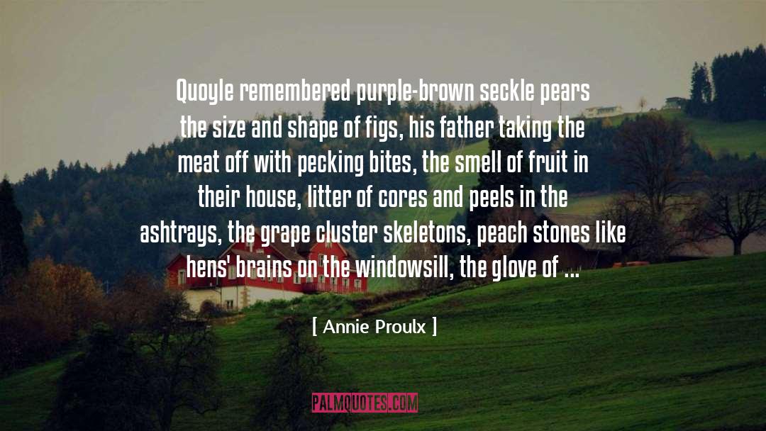 Annie Proulx Quotes: Quoyle remembered purple-brown seckle pears