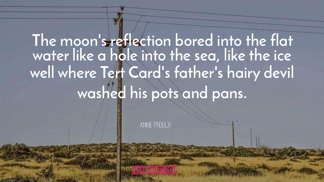 Annie Proulx Quotes: The moon's reflection bored into