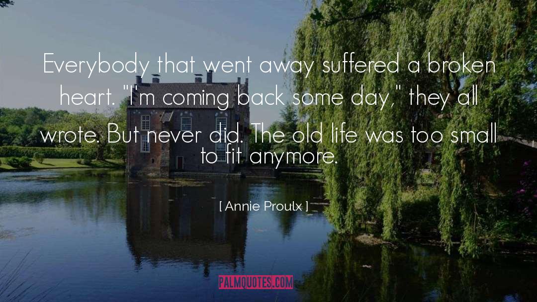Annie Proulx Quotes: Everybody that went away suffered