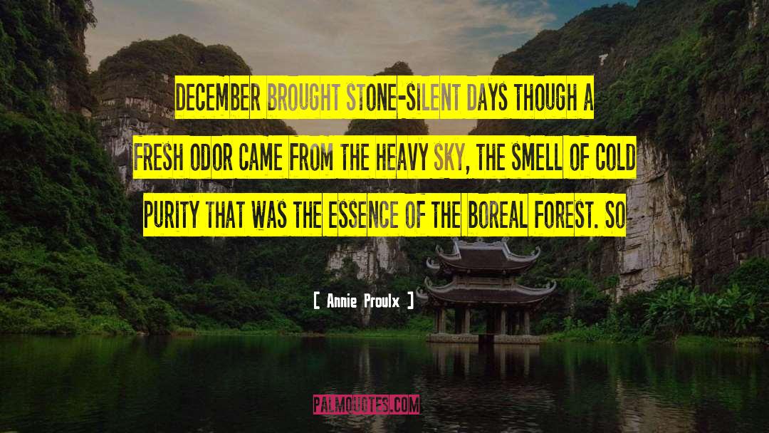 Annie Proulx Quotes: December brought stone-silent days though