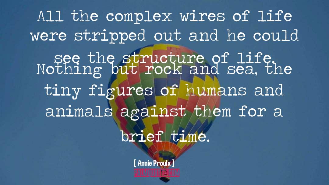 Annie Proulx Quotes: All the complex wires of