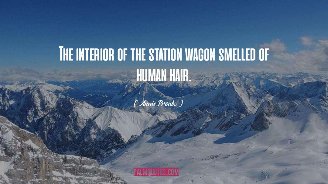 Annie Proulx Quotes: The interior of the station