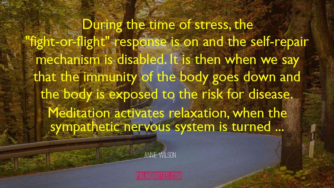 Annie Wilson Quotes: During the time of stress,