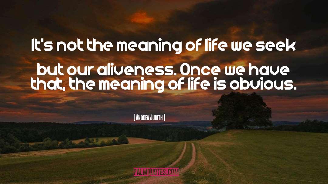 Anodea Judith Quotes: It's not the meaning of