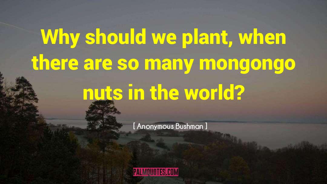Anonymous Bushman Quotes: Why should we plant, when