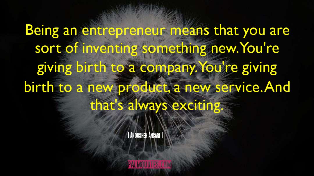 Anousheh Ansari Quotes: Being an entrepreneur means that