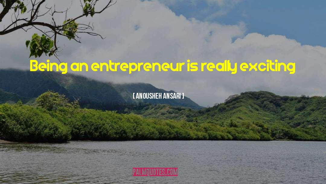 Anousheh Ansari Quotes: Being an entrepreneur is really