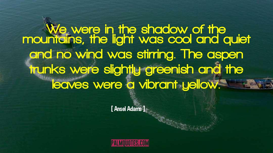 Ansel Adams Quotes: We were in the shadow