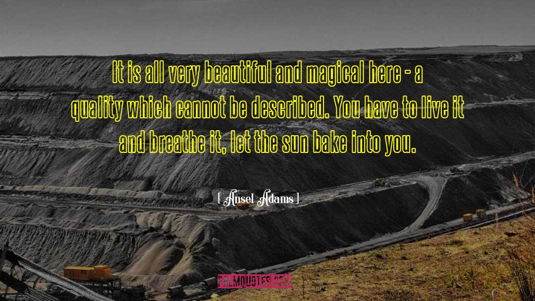 Ansel Adams Quotes: It is all very beautiful