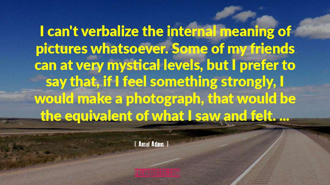 Ansel Adams Quotes: I can't verbalize the internal