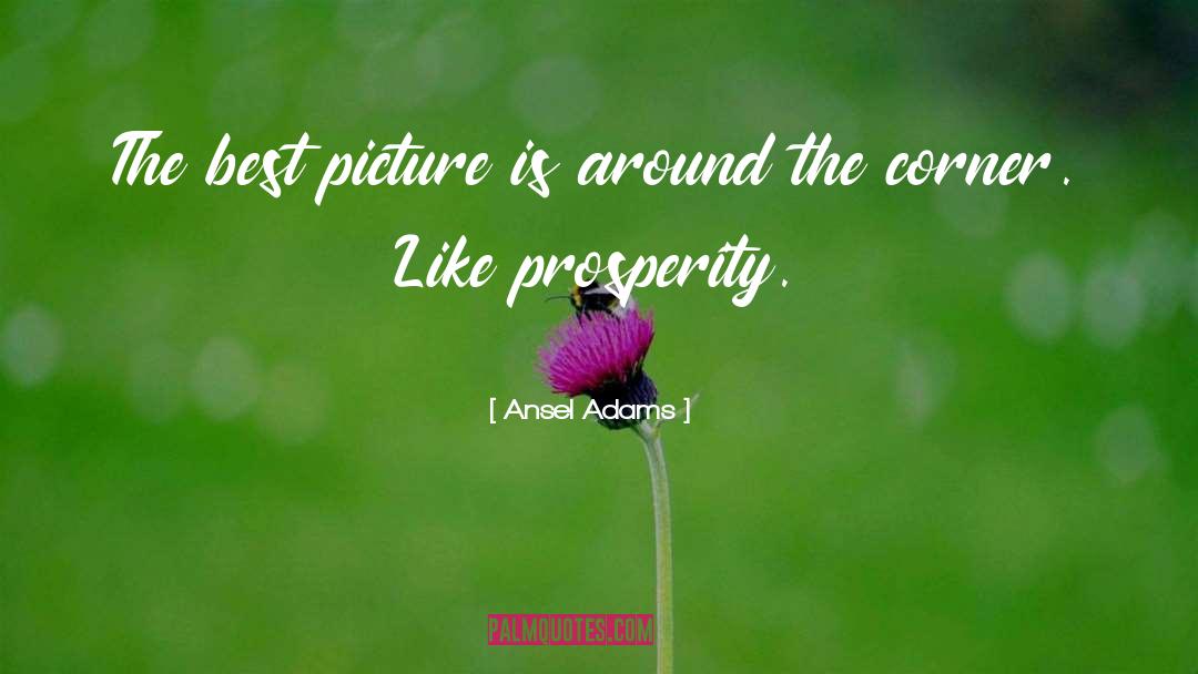 Ansel Adams Quotes: The best picture is around