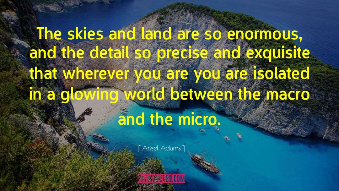 Ansel Adams Quotes: The skies and land are