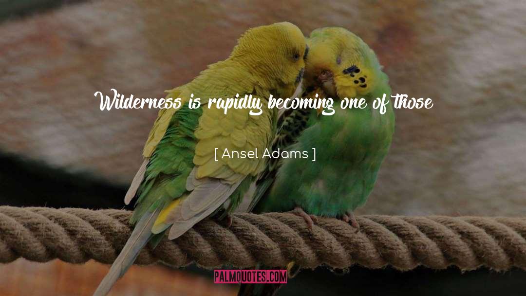Ansel Adams Quotes: Wilderness is rapidly becoming one