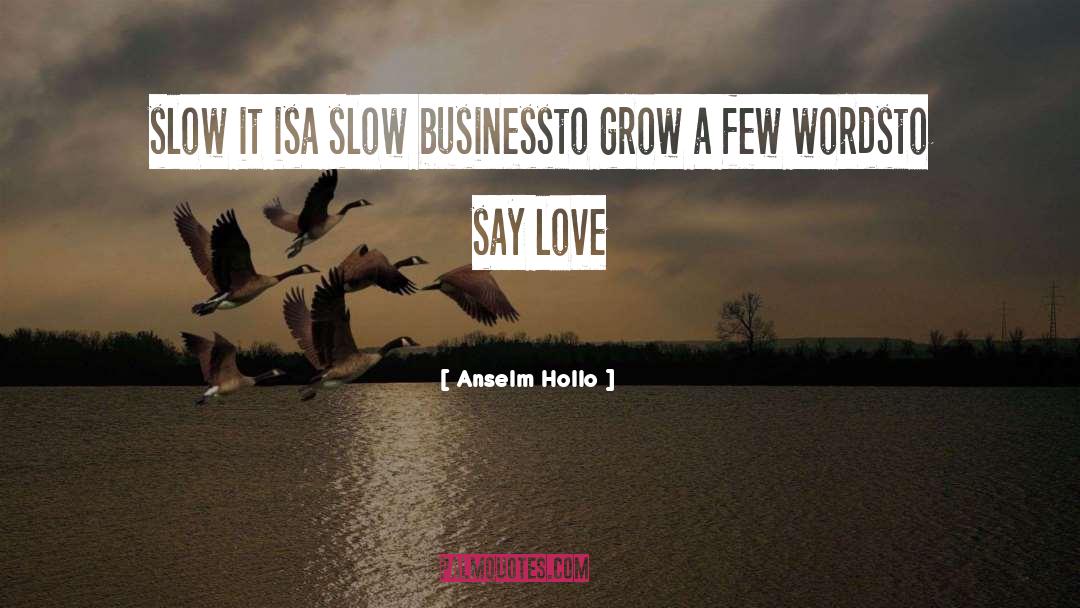 Anselm Hollo Quotes: slow it is<br />a slow