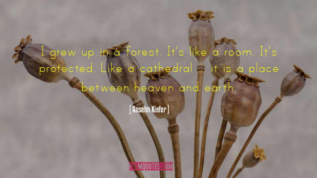 Anselm Kiefer Quotes: I grew up in a