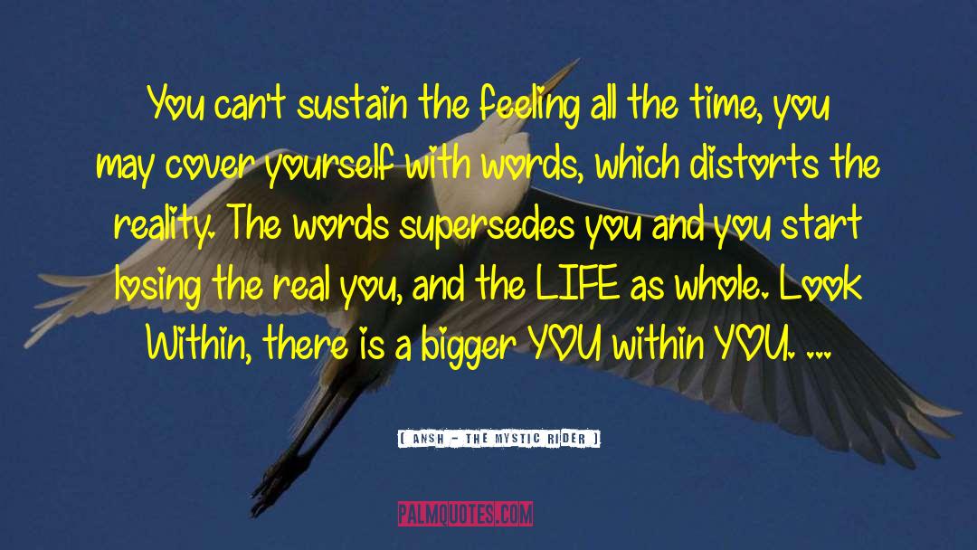 Ansh - The Mystic Rider Quotes: You can't sustain the feeling