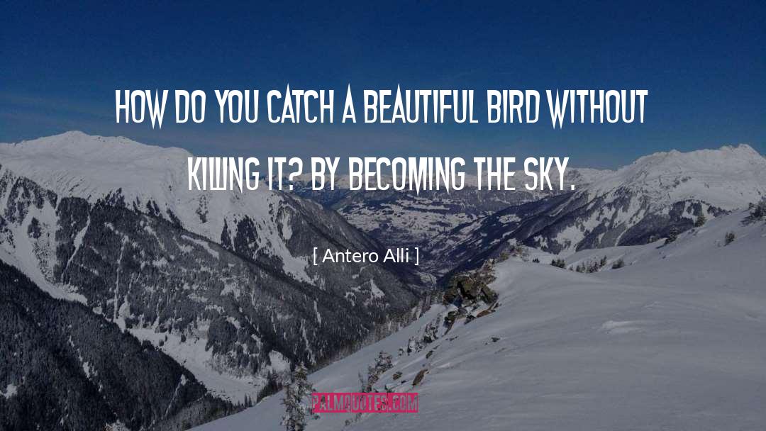 Antero Alli Quotes: How do you catch a