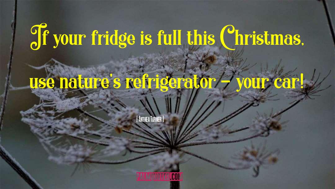 Anthea Turner Quotes: If your fridge is full