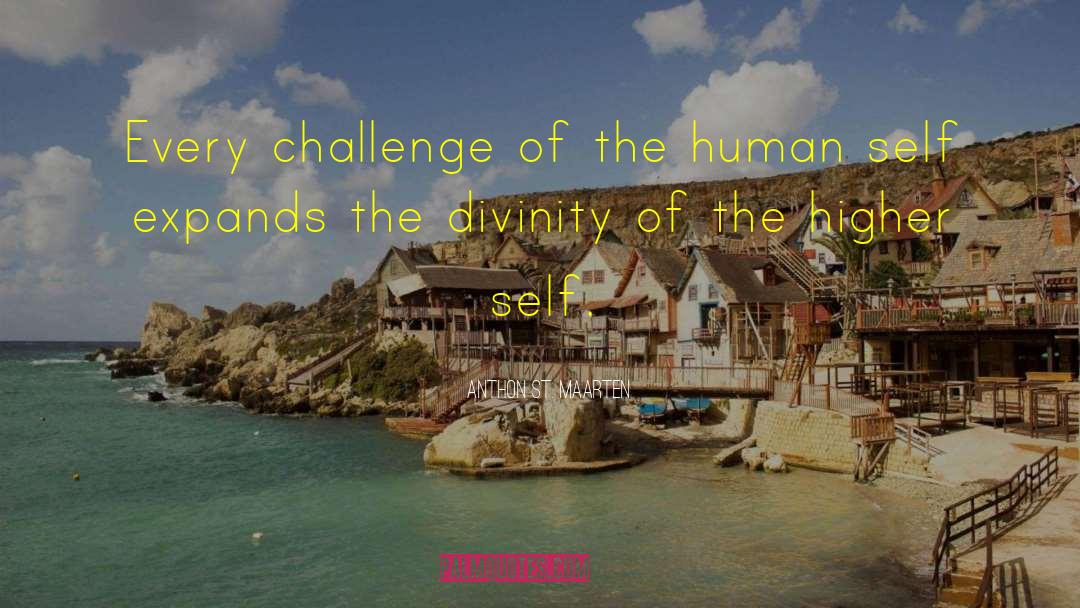 Anthon St. Maarten Quotes: Every challenge of the human