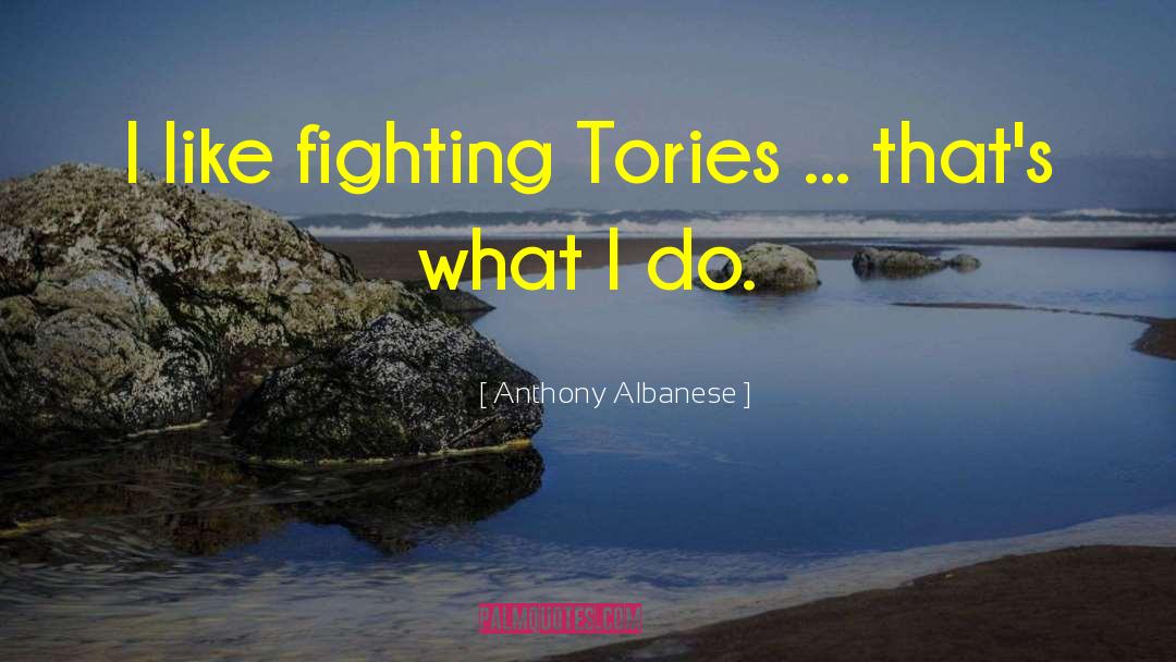 Anthony Albanese Quotes: I like fighting Tories ...