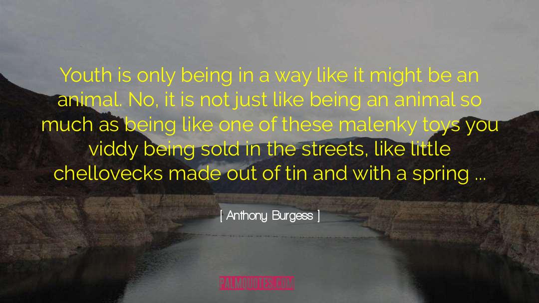 Anthony Burgess Quotes: Youth is only being in