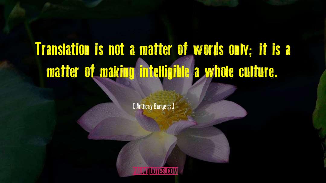Anthony Burgess Quotes: Translation is not a matter