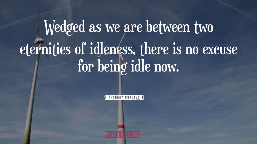 Anthony Burgess Quotes: Wedged as we are between
