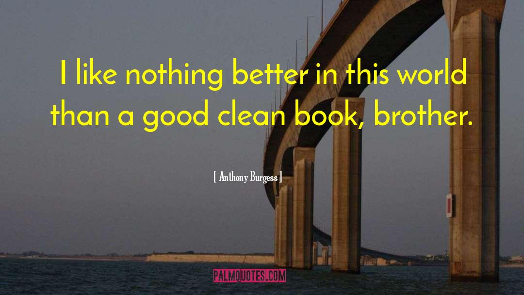 Anthony Burgess Quotes: I like nothing better in