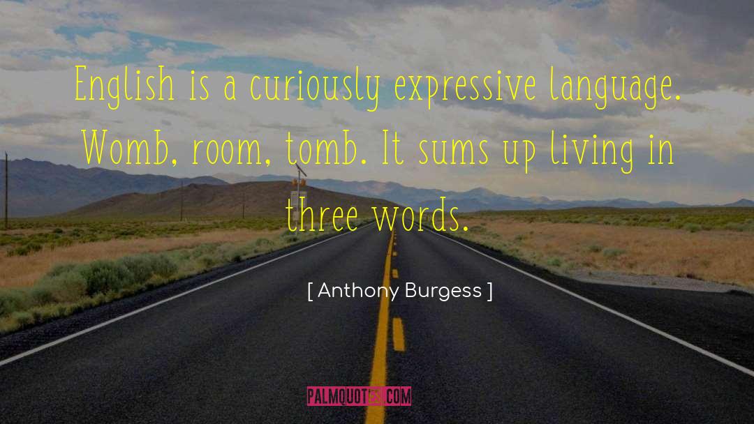 Anthony Burgess Quotes: English is a curiously expressive