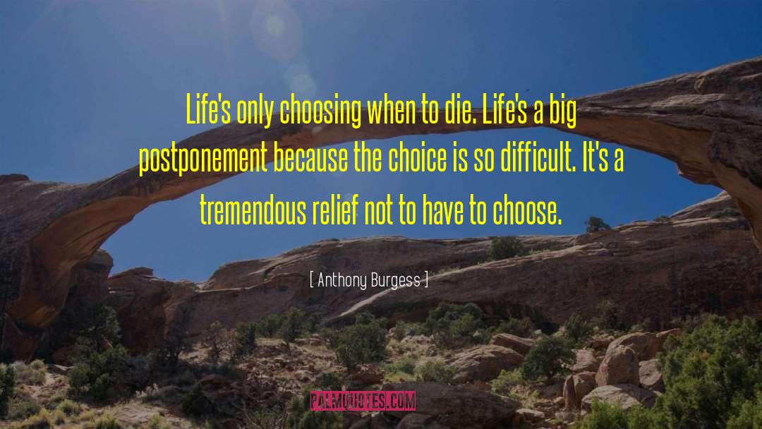 Anthony Burgess Quotes: Life's only choosing when to