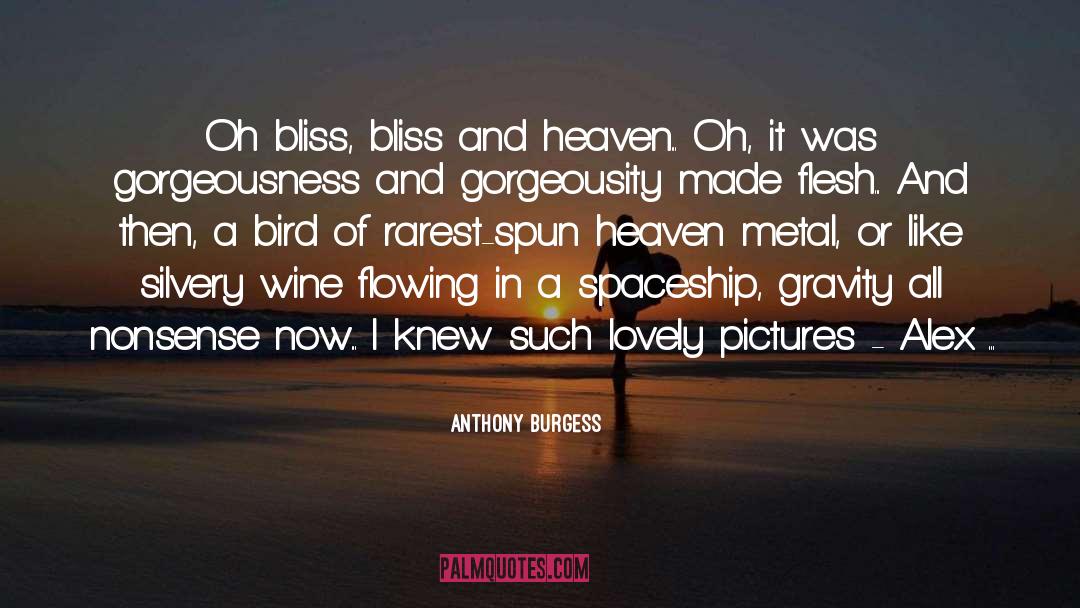 Anthony Burgess Quotes: Oh bliss, bliss and heaven...