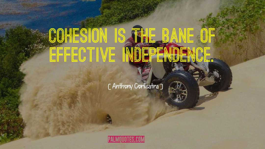 Anthony Corlisatra Quotes: Cohesion is the bane of