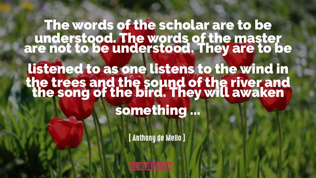 Anthony De Mello Quotes: The words of the scholar