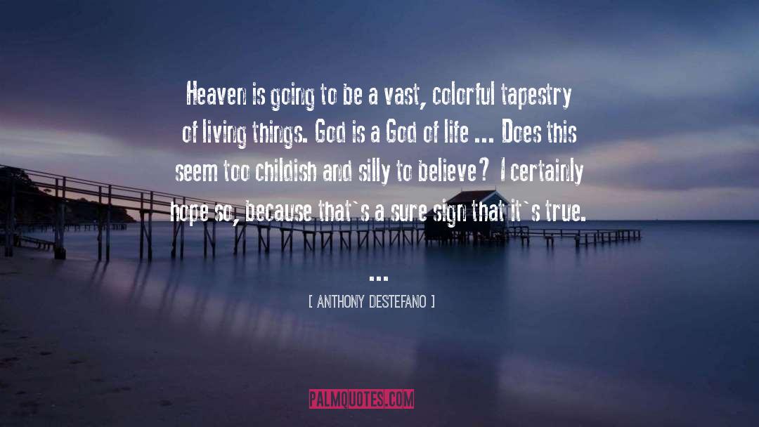 Anthony DeStefano Quotes: Heaven is going to be