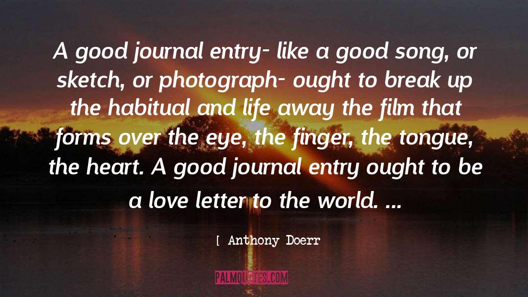 Anthony Doerr Quotes: A good journal entry- like