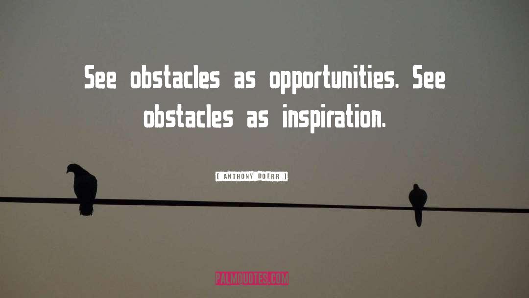 Anthony Doerr Quotes: See obstacles as opportunities. See