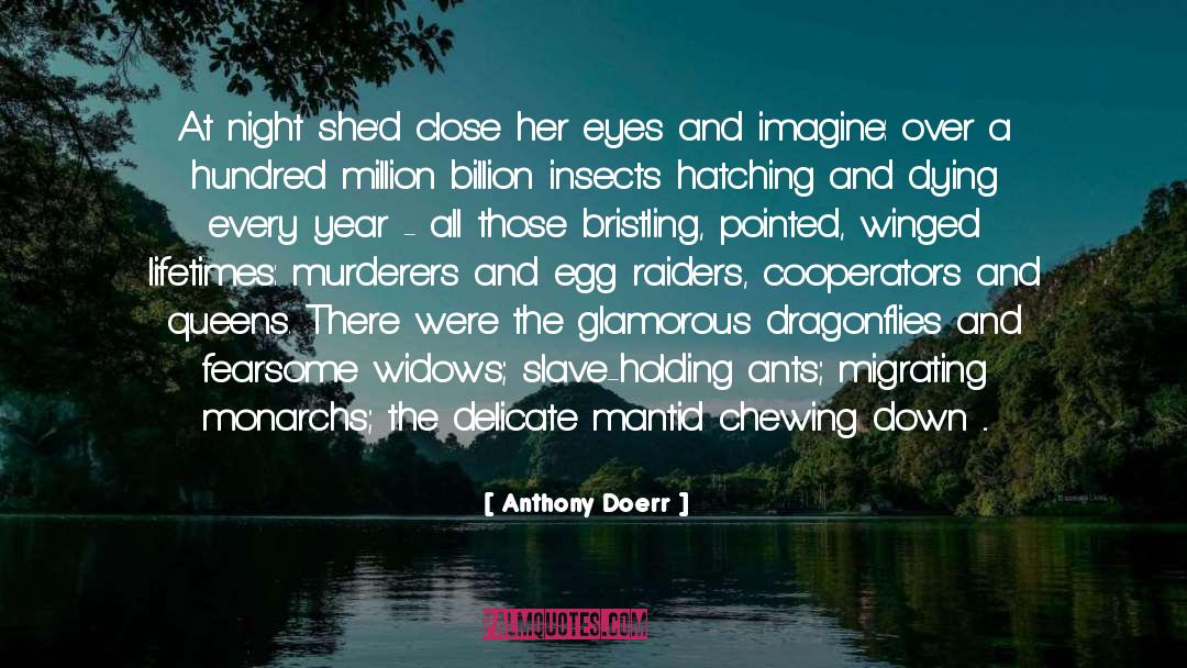 Anthony Doerr Quotes: At night she'd close her