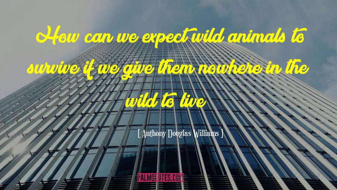 Anthony Douglas Williams Quotes: How can we expect wild