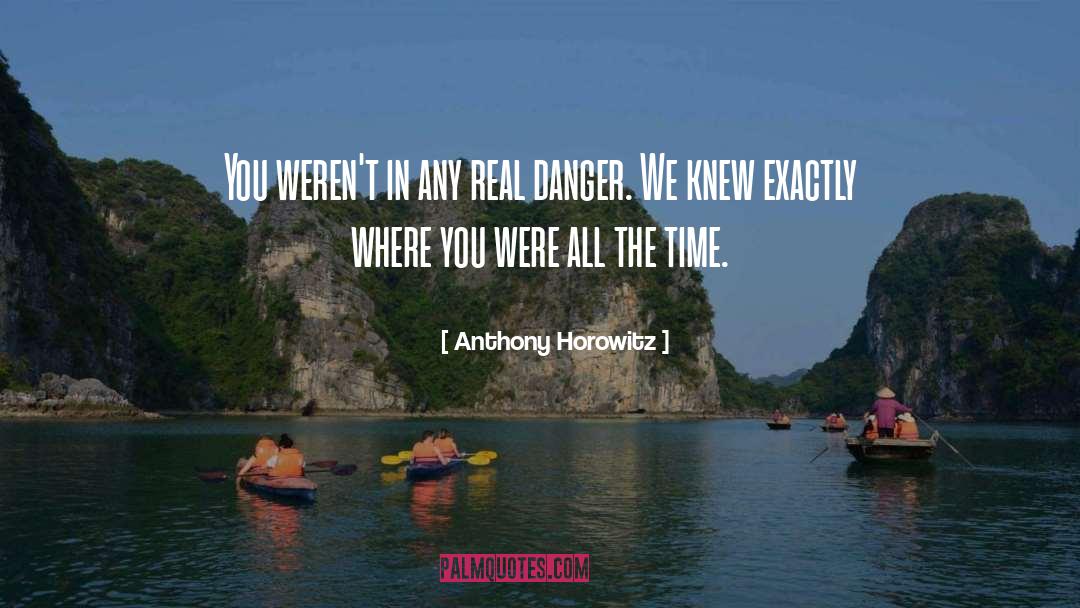 Anthony Horowitz Quotes: You weren't in any real